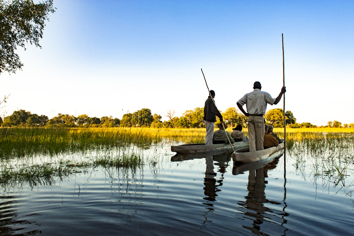 okavango3